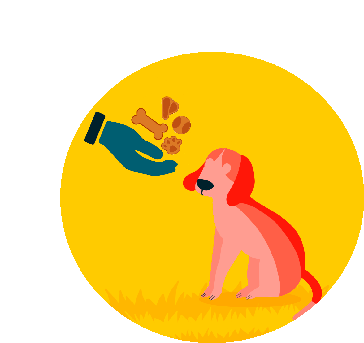 clinica-veterinaria-etologia