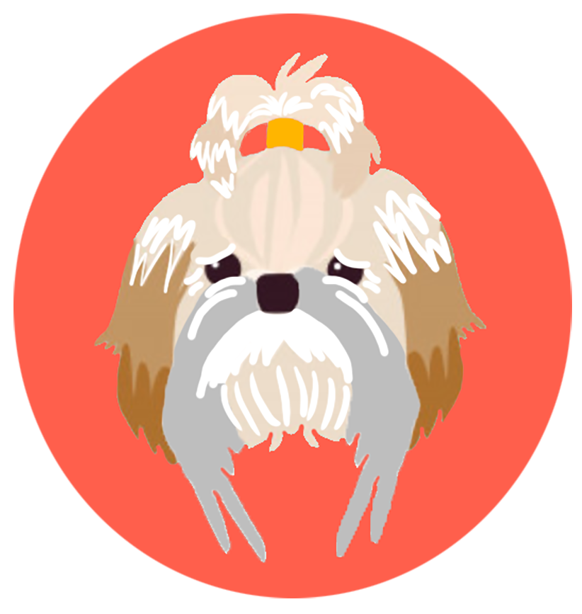 clinica-veterinaria-Geriatria